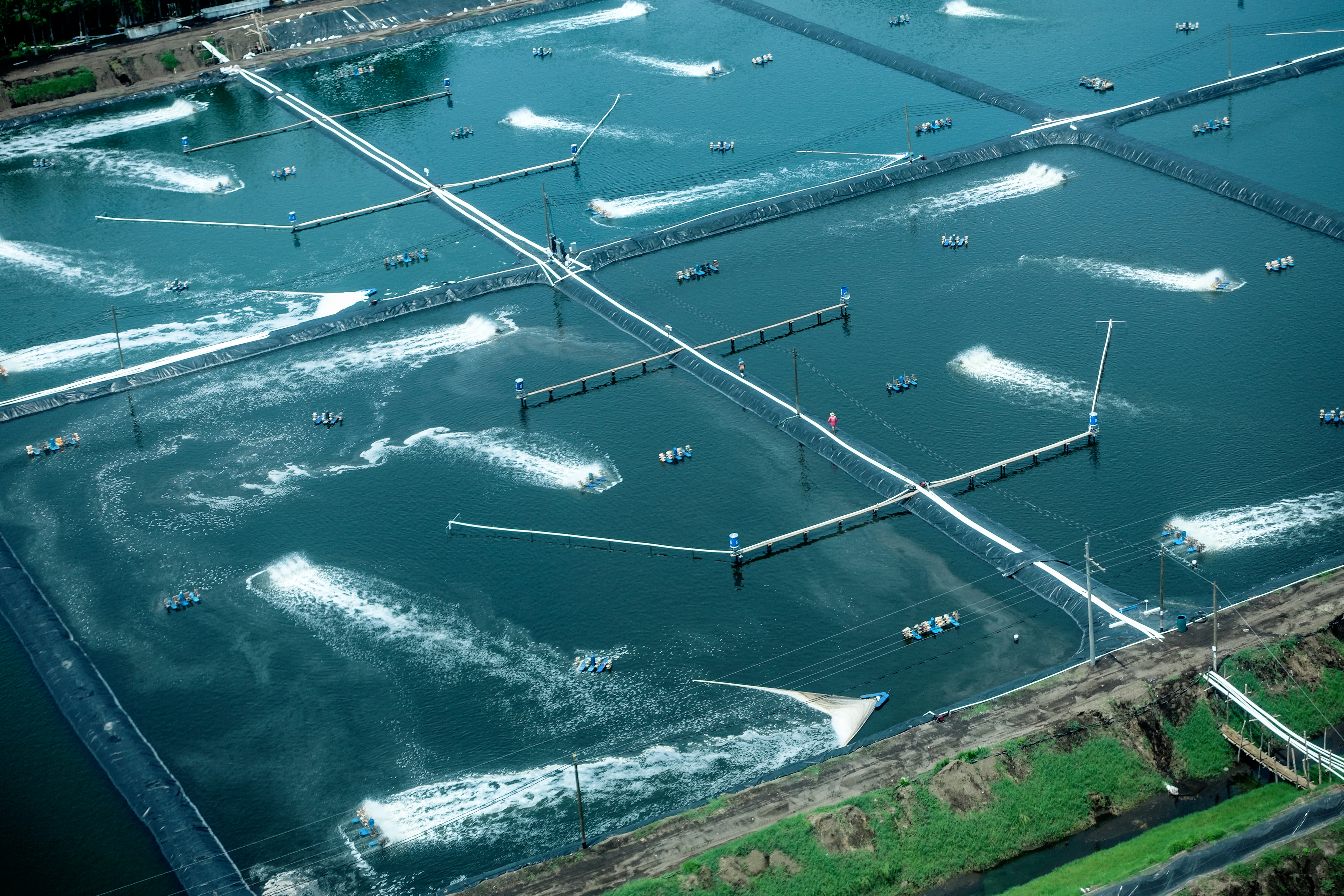 Operations team reviewing aquaculture platform intelligence