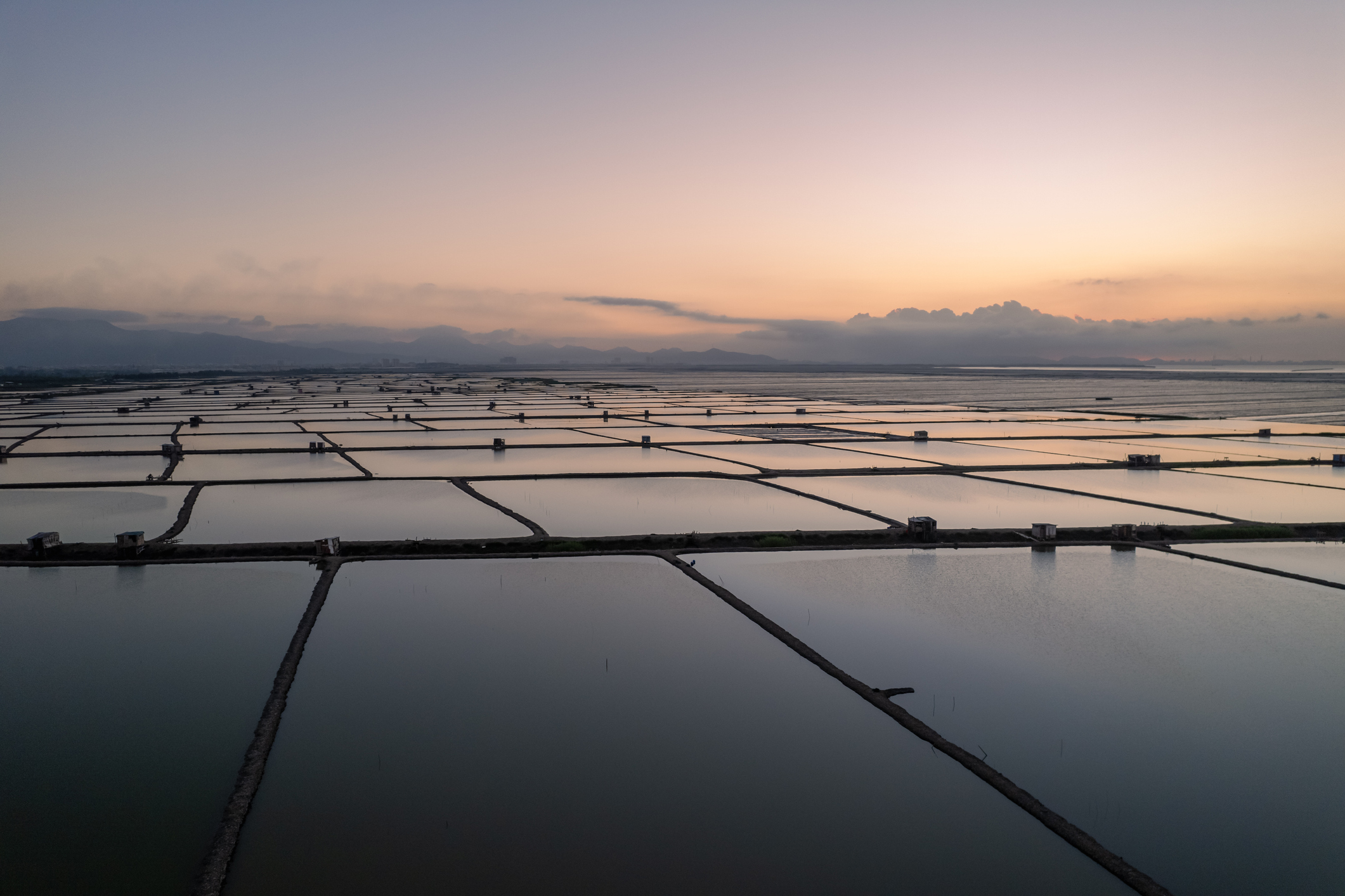 Aquaculture production environment with field operations